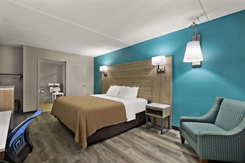 Room, 1 King Bed, Accessible, Smoking