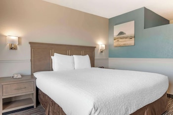 Standard Room, 1 King Bed, Accessible, Bathtub