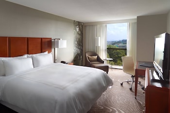 Room, 1 King Bed