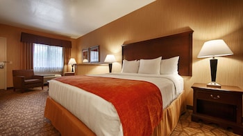 Suite, 1 King Bed, Non Smoking, Refrigerator & Microwave (with Sofabed)