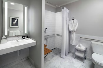 Junior Studio Suite, 1 Bedroom (Mobility/Hearing Access, Roll-In Shwr)