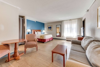 Studio Suite, 1 King Bed, Non Smoking