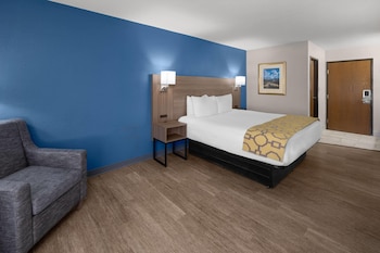 Room, 1 King Bed, Non Smoking