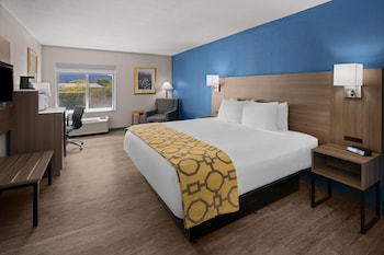 Room, 1 King Bed, Non Smoking