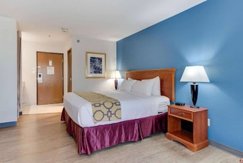 Room, 1 King Bed, Mobility Accessible, Non Smoking (Roll-in Shower)