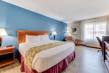 Room, 1 King Bed, Mobility Accessible, Non Smoking (Roll-in Shower)