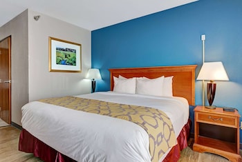 Room, 1 King Bed, Mobility Accessible, Non Smoking (Roll-in Shower)
