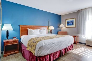 Room, 1 King Bed, Mobility Accessible, Non Smoking (Roll-in Shower)