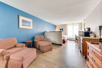 Deluxe Room, 1 King Bed, Non Smoking