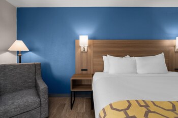 Room, 1 King Bed, Mobility Accessible, Non Smoking (Roll-in Shower)