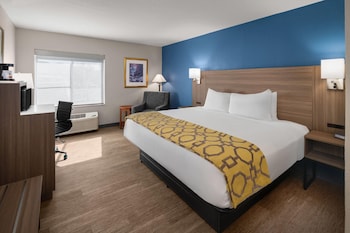 Room, 1 King Bed, Mobility Accessible, Non Smoking (Roll-in Shower)