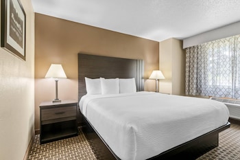 Suite, 1 King Bed with Sofa bed, Non Smoking