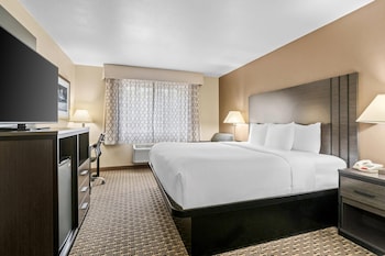 Room, 1 King Bed, Non Smoking, Jetted Tub