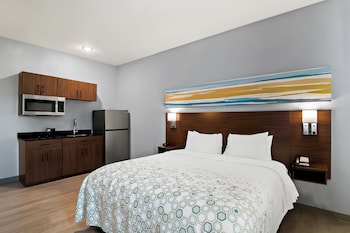 Studio, 1 King Bed, Non Smoking