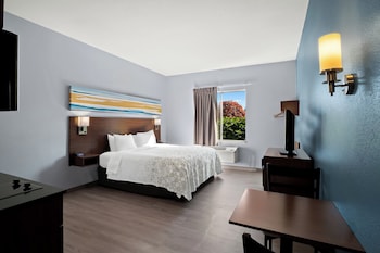 Studio, 1 King Bed, Non Smoking