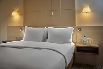 Room, 1 Queen Bed, Accessible