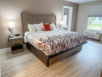 Luxury Suite, 1 King Bed with Sofa bed