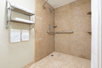 Room, 1 King Bed, Accessible, Non Smoking (Roll-In Shower)