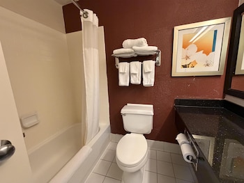 Standard Room, 1 King Bed, Non Smoking, Refrigerator & Microwave (with Sofabed)
