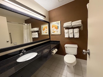 Standard Room, 1 King Bed, Accessible, Refrigerator & Microwave