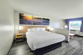 Studio Suite, 1 King Bed, Non Smoking