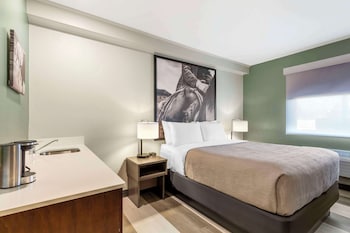 Room, 1 Queen Bed, Non Smoking