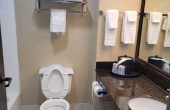 Single Room, 1 King Bed