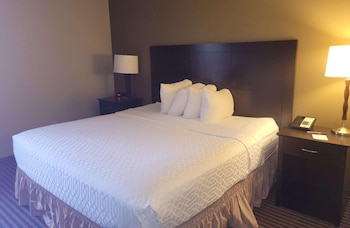 Single Room, 1 Queen Bed