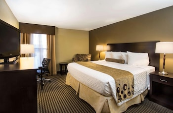 Single Room, 1 King Bed