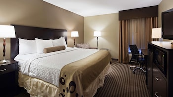 Single Room, 1 King Bed