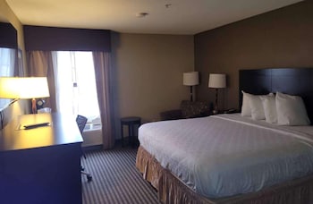 Single Room, 1 King Bed