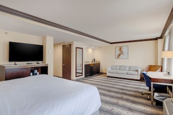 Standard Room, 1 King Bed with Sofa bed