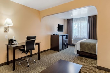 Room, 1 King Bed, Non Smoking