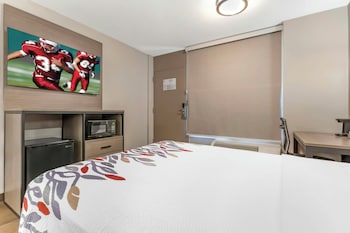 Deluxe Room, 1 Double Bed (Smoke Free)