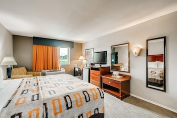 Suite, 1 King Bed