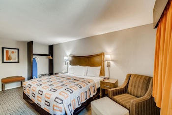 Standard Room, 1 King Bed