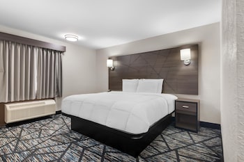 Room, 1 King Bed