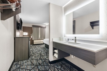 Room, 1 King Bed