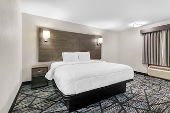 Room, 1 King Bed, Smoking