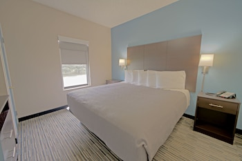 Suite, 1 King Bed with Sofa bed