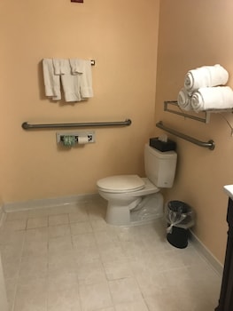 Standard Room, 1 King Bed, Accessible, Non Smoking