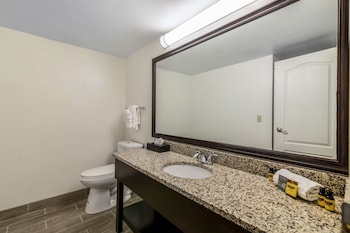 Standard Room, 1 King Bed, Non Smoking, Refrigerator & Microwave (Shower Only)