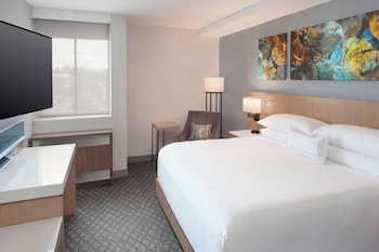 Suite, 1 Bedroom