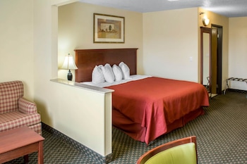 Suite, 1 King Bed with Sofa bed, Non Smoking