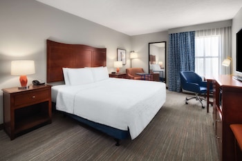 Room, 1 King Bed, Accessible, Bathtub (Nonsmoking)