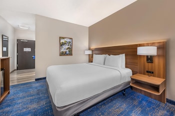 Standard Room, 1 King Bed, Accessible, Refrigerator & Microwave