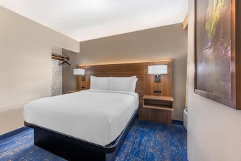 Suite, 1 Queen Bed, Non Smoking, Refrigerator & Microwave
