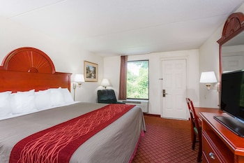 Standard Room, 1 King Bed, Smoking