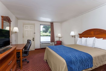 Room, 1 Double Bed, Accessible, Non Smoking (Mobility)