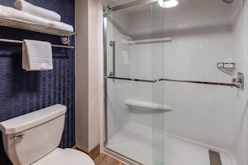 Room, 1 King Bed with Sofa bed